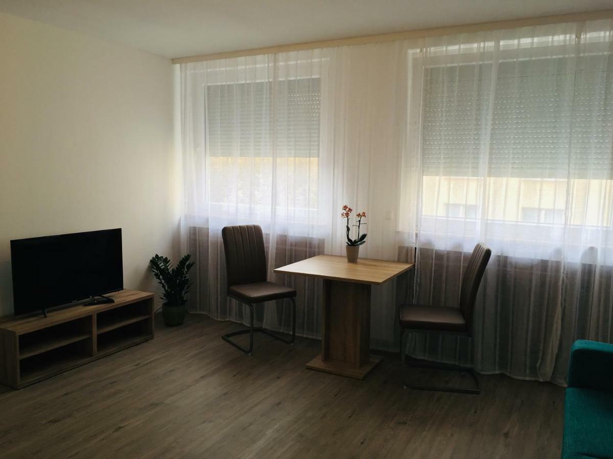 Rheinstrasse 33 Apartman Mainz Kültér fotó